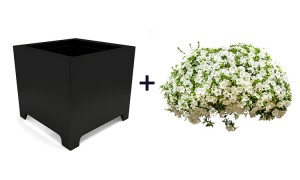 Vierkante Bloembak Zwart Gecoat met Bloemen