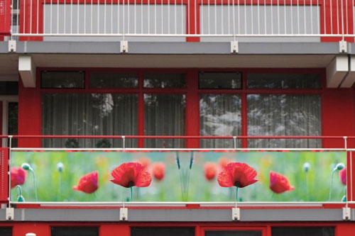 zonnebloem