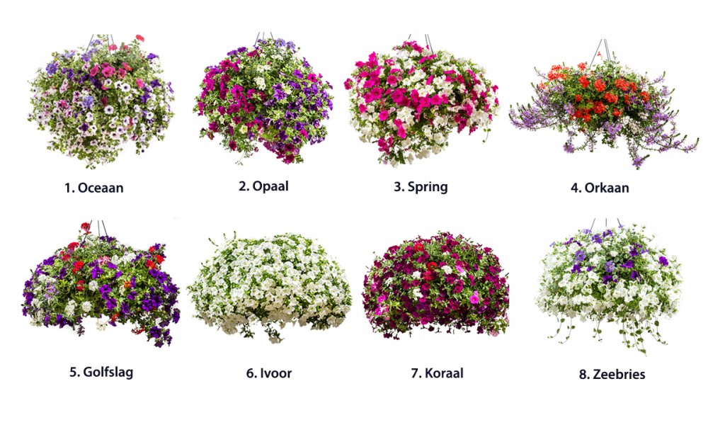 hoorbaar het einde Thespian Hoge Cortenstalen Bloembak met Bloemen | Zoek je een hoge bloembak?