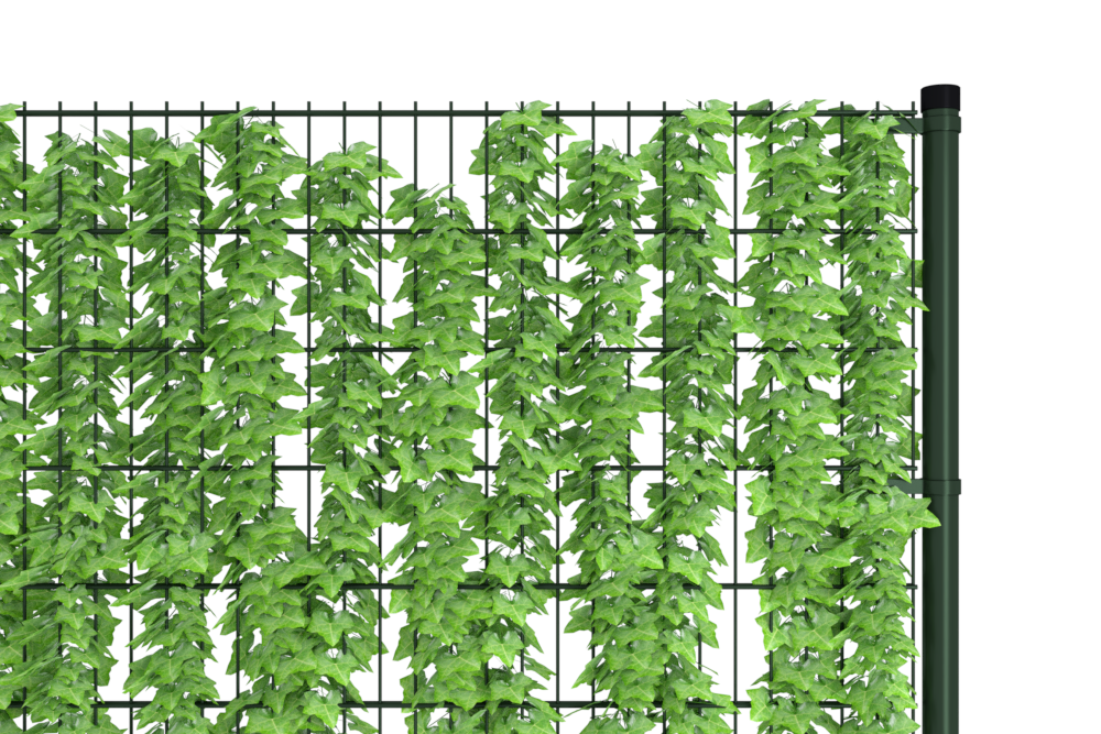 Tuinhekwerk met | Ben jij zoek naar hekwerk met hedera?